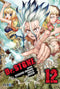 DR. STONE 12