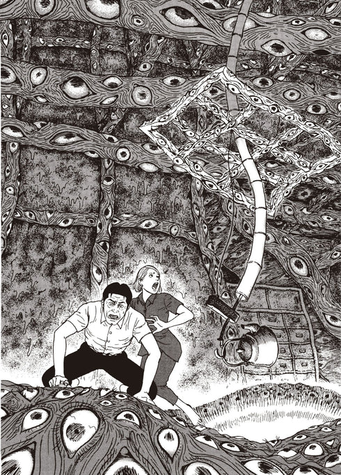 FRAGMENTOS DEL MAL - JUNJI ITO, TERROR DESPEDAZADO VOL. 5 DE 28