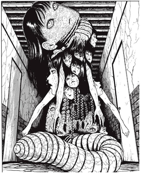 TOMIE NÚM. 3/3 - JUNJI ITO, TERROR DESPEDAZADO VOL. 10 DE 28