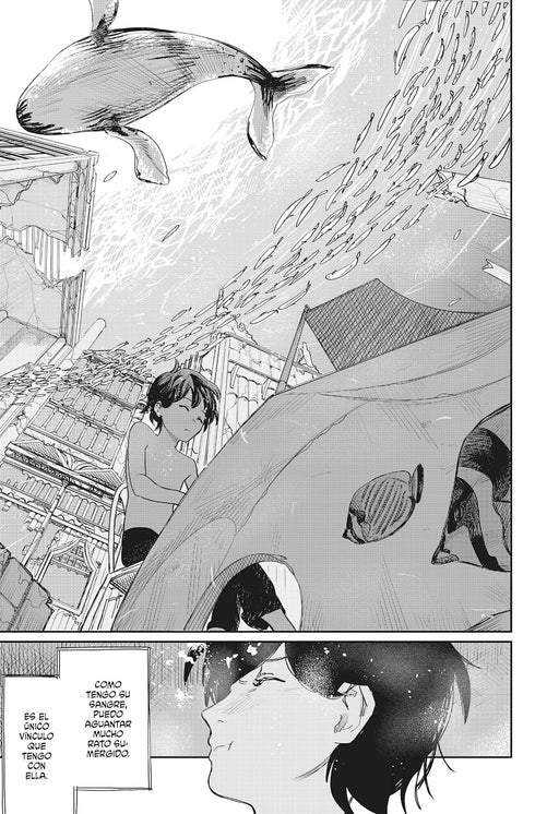 TATSUKI FUJIMOTO HISTORIAS CORTAS 22-26