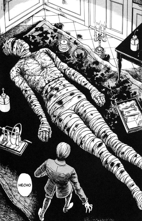 FRANKENSTEIN (TERCERA EDICIÓN)