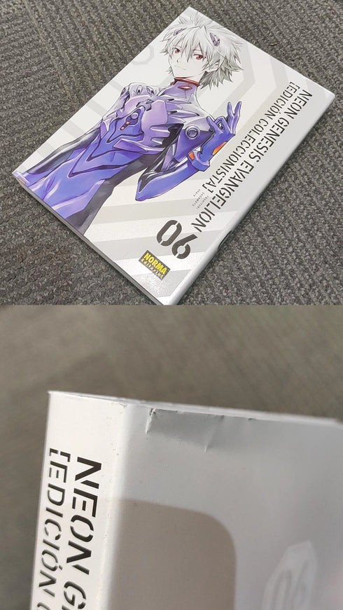 NEON GENESIS EVANGELION 06. ED. COLECCIONISTA (CON DETALLE)