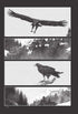 EL HORROR DE DUNWICH N°01