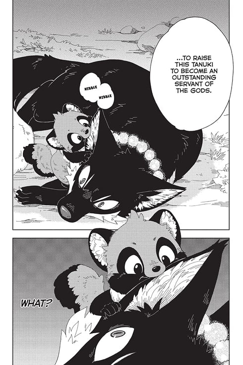 EL ZORRO Y EL PEQUEÑO TANUKI 02