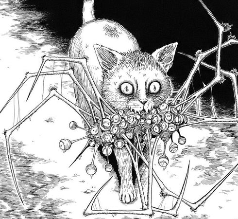 EL DIARIO GATUNO DE JUNJI ITO